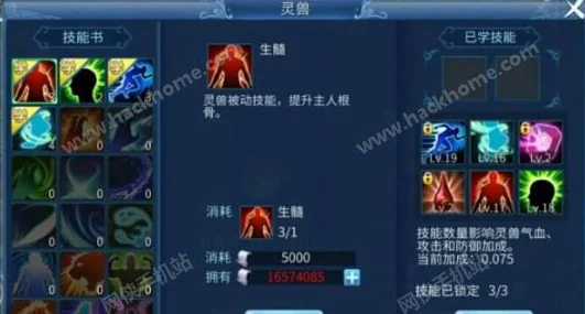 2025年热门天下手游灵兽加点技巧与最新养成攻略指南 2025年热门天下手游灵兽加点技巧与最新养成攻略指南