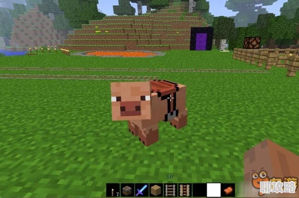 2025年热门指南：我的世界手机版最新修改宠物名字方法分享