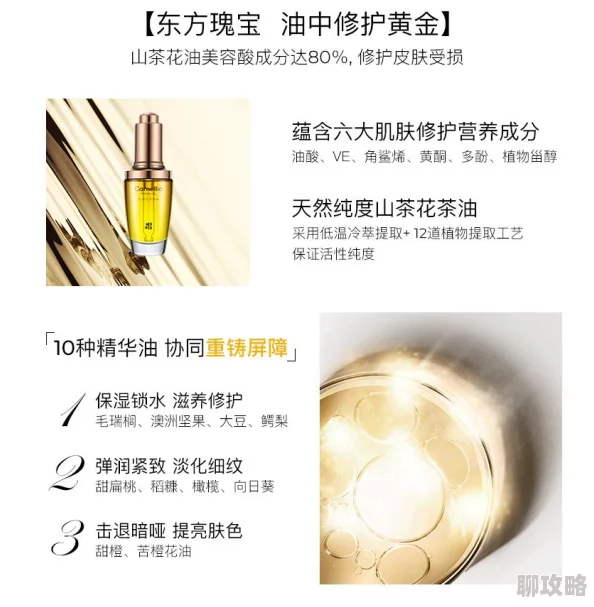 2025年完美世界手游装备重铸全攻略：最新重铸方法与热门技巧介绍