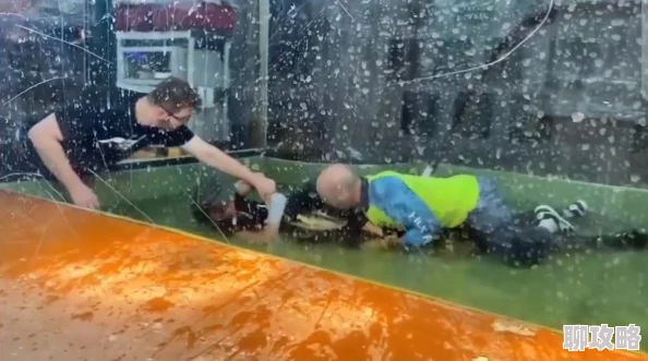 动物园之星如何删除围栏 | 详细教程教你轻松移除围栏 动物园之星如何删除围栏 | 详细教程教你轻松移除围栏