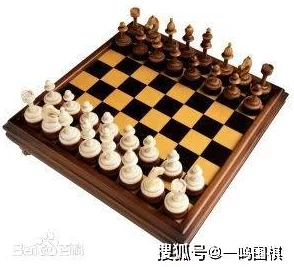 国际象棋与围棋的全球流行度对比:哪种棋类更受欢迎? 国际象棋与围棋的全球流行度对比:哪种棋类更受欢迎?