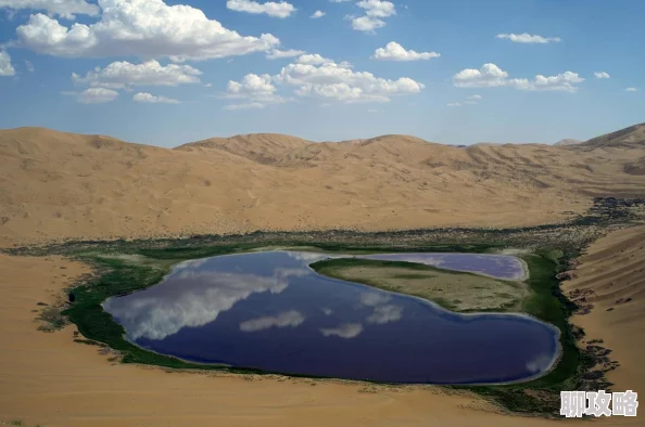 2025年暗黑黎明装备系统全面攻略:深度解析装备炼金玩法与最新热门装备趋势 2025年暗黑黎明装备系统全面攻略:深度解析装备炼金玩法与最新热门装备趋势