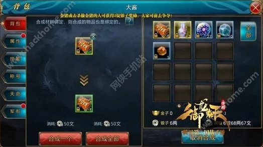 2025年御龙在天手游各阶段高效升级技巧与策略分享